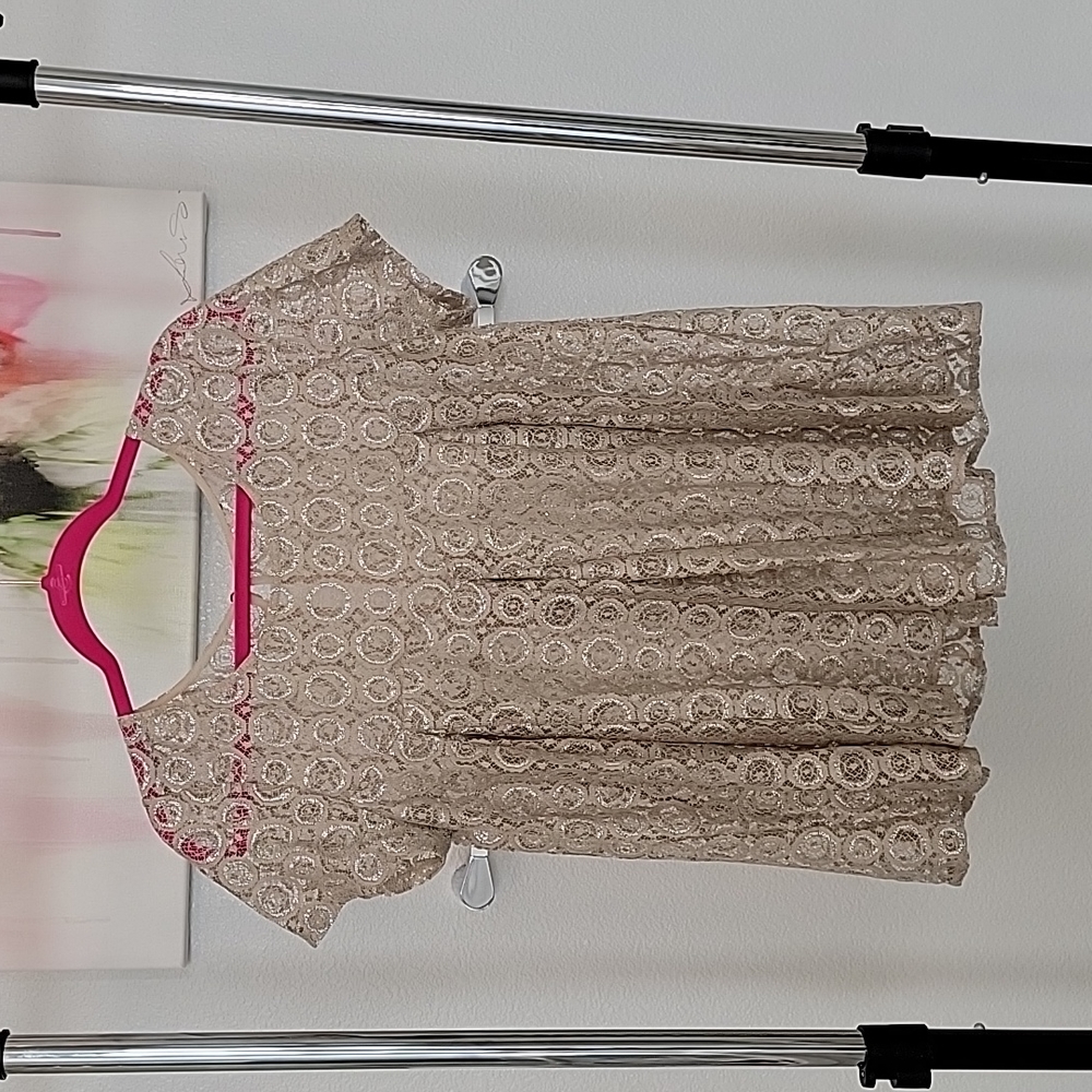 Anthropologie Akemi & Kin Lyra Silver Metallic & Beige Sparkle Lace Babydoll SM